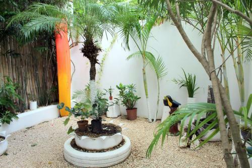 Apartamento Tukanos