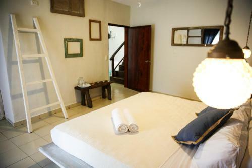 Hotel Howlita