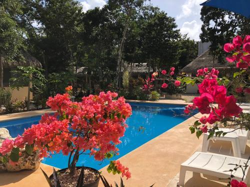 Bed & Breakfast Maya Eco Village