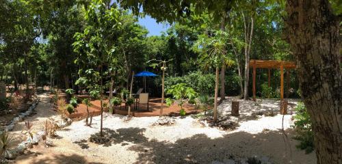 Bed & Breakfast Maya Eco Village