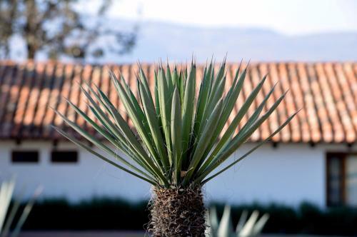 Hotel Hacienda Los Picachos