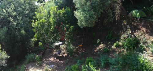 Apartments Sun Seoce