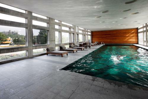 Gym & Pool. Loft Condesa Double Level Apartment