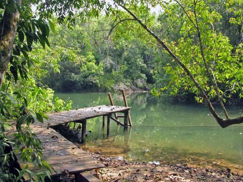 Hotel Campamento Rio Lacanja