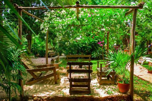 Bed & Breakfast La Casa De Los P�jaros