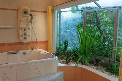 Hostal Casa La Selva