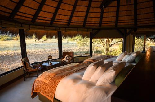 Okonjima Luxury Bush Camp
