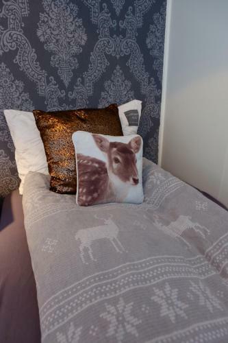 Hostal Bed & Waffles, Troms�