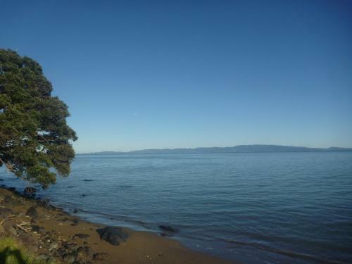 Bed & Breakfast Pohutukawa Coast Bnb