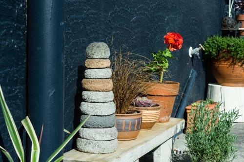 Casita Flora Vacation Home