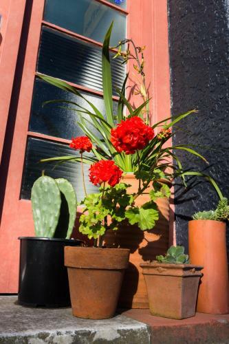 Casita Flora Vacation Home