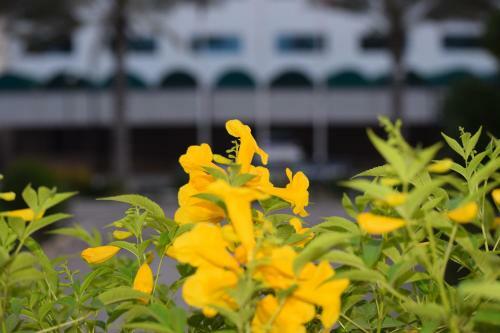 Hotel Summersands