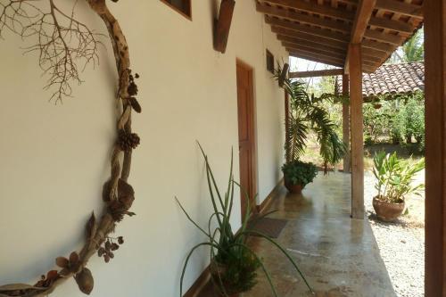 Bed & Breakfast La Rosa De Los Vientos