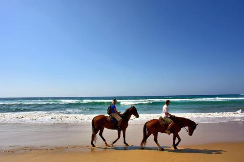 Hotel Oasis Surf Camp