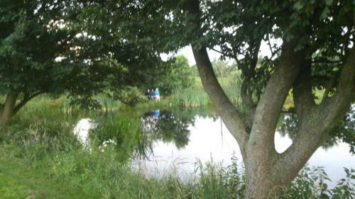 B&B Het Farm-house Natuurpark