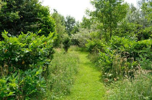 B&B Het Farm-house Natuurpark