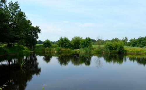 B&B Het Farm-house Natuurpark