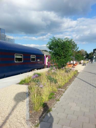 Albergue Train Lodge Amsterdam