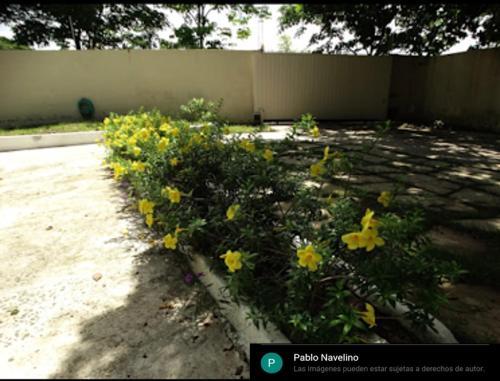 Agroturismo Villa Fortaleza 1