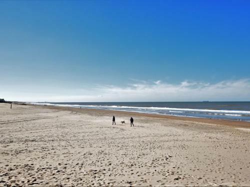 Luxurious Holiday Home With Jacuzzi In Noordwijk