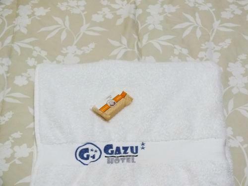 Hotel Hostal Gazu