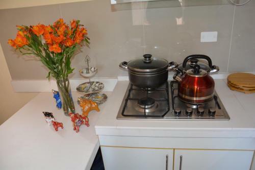 Centric Apartment Fully Furnished