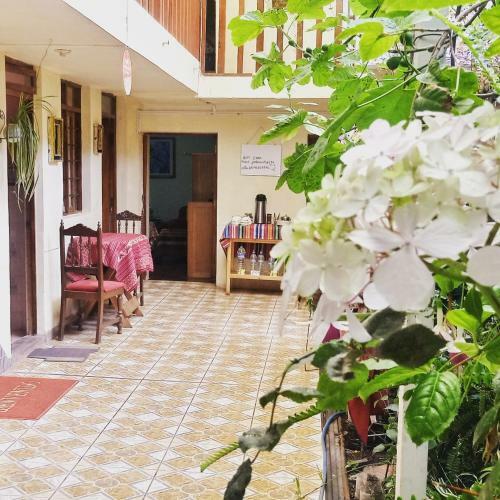 Bed & Breakfast The Secret Garden Home Cusco
