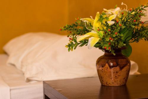 Albergue Cozy Wasi