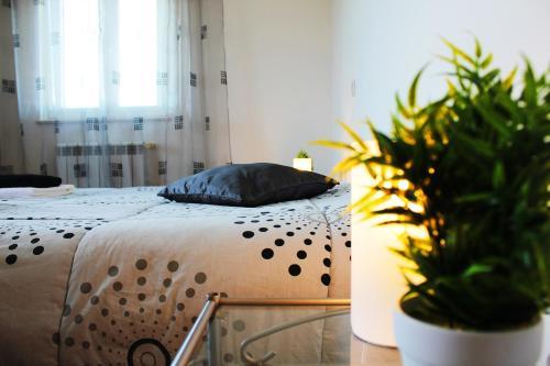 Hostal Aljezur Experiences Surf & Lounge House