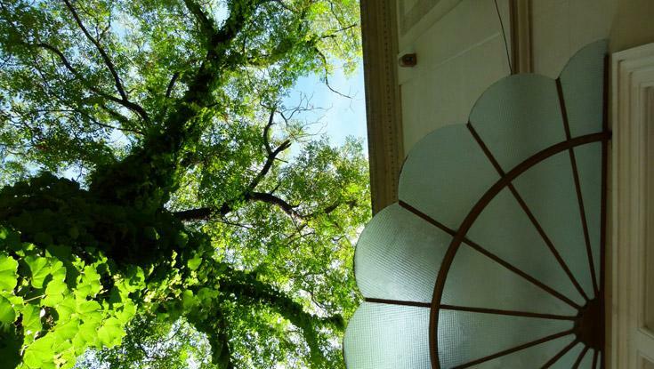 Hotel 1555 Malabia House