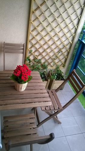 Apartamento Nature