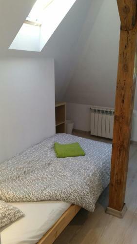 Garden Hostel
