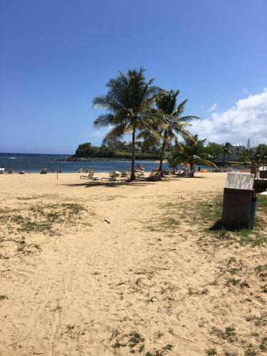 Dorado Beach Apartments