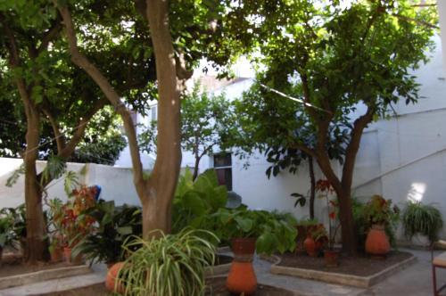 Albergue Hospedaria Santa Maria