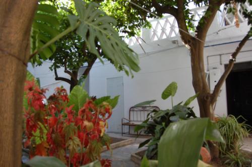 Albergue Hospedaria Santa Maria
