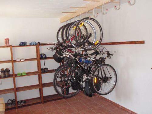 Hostal Penzion Fiala