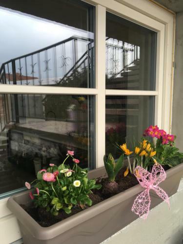 Hostal Penzion Jako Ze ?katulky