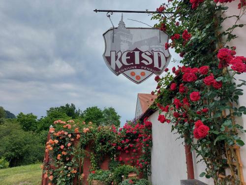 Bed & Breakfast Pensiunea Keisd