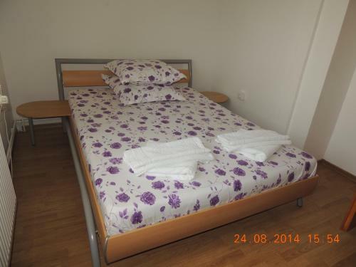 Hostal Pensiunea Iulia Sulina