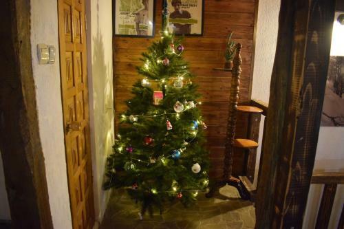 Hostal Omela Chalet