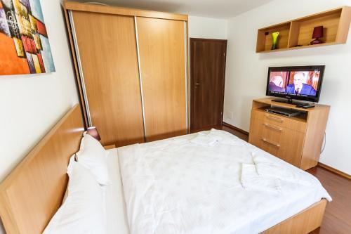 Apartment Alba Iulia Square 5