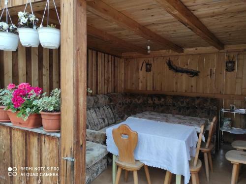 Hostal Pensiunea Viorica