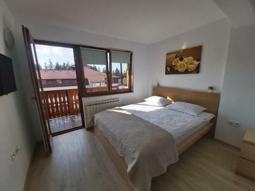 Apartamentos Studio Montana