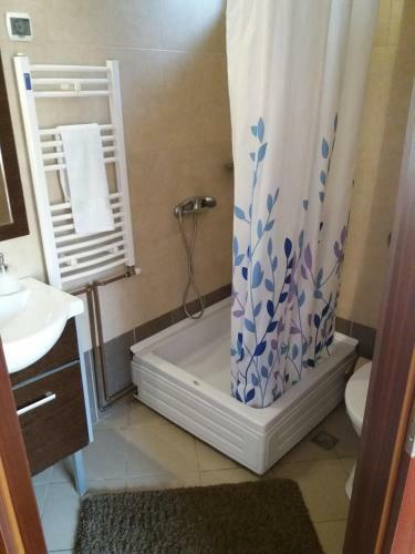 Hostal Pensiunea Transilvania Lodge