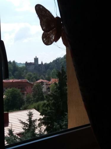 Hostal Pensiunea Transilvania Lodge
