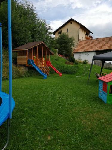 Hostal Pensiunea Transilvania Lodge