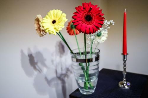 Apartamento Metropolitan Iassium Luxury Suites