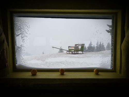 Lodge Amfiteatrul Transilvania