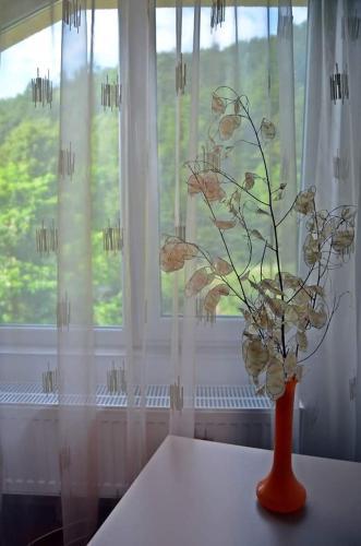 Hostal Casa Noastra