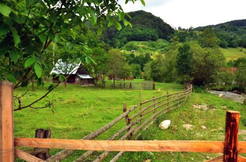 Hostal Pensiunea Valea Pinului